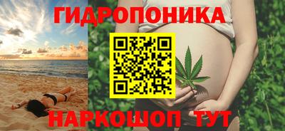 сатива Малгобек