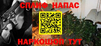 сатива Малгобек