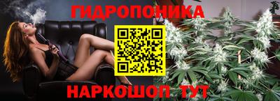гашик Мариинск