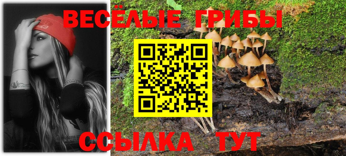 Зерноград  Псилоцибиновые грибы Psilocybe  Вход с VPN  Псилоцибиновые грибы Psilocybe 